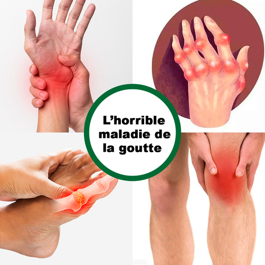 Thé régulateur d'acide urique
